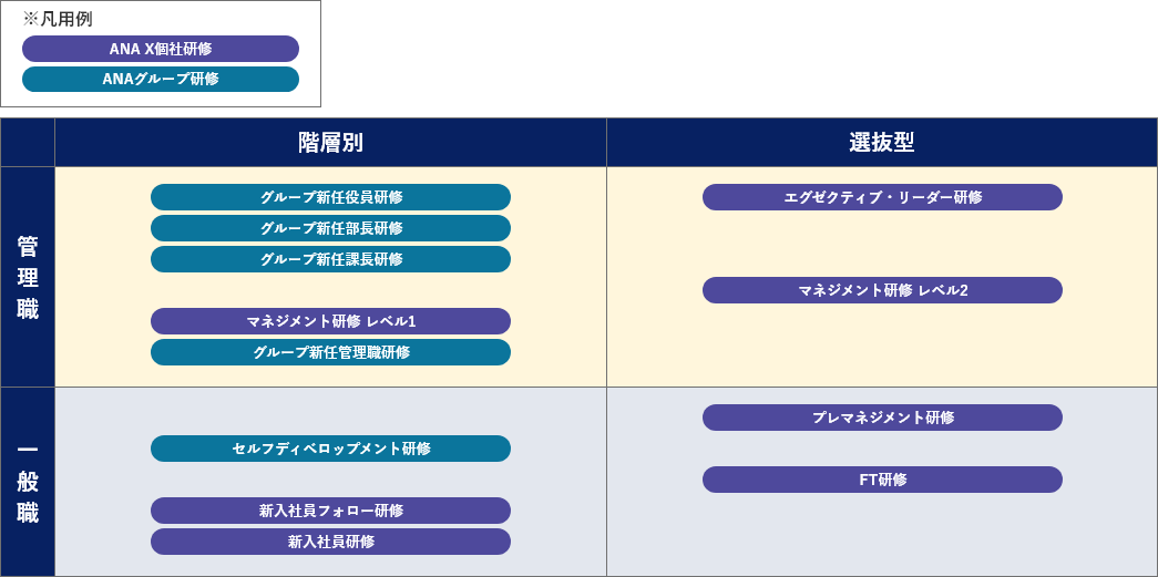 階層別・選抜型研修の図